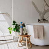 ANESPA DX Bath and Shower Water Filter